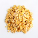 Nuba Sunburnt Corn