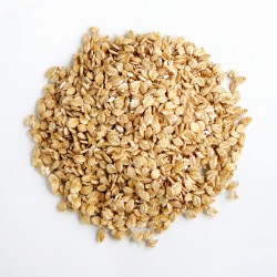 Jęczmień mikronizowany - NuVena Sunburnt Barley - 20kg