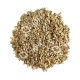 Nuba Sunburnt Barley