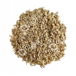 Nuba Sunburnt Barley