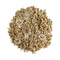 Nuba Sunburnt Barley