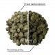 NuVena Green Fields Pellets - ekologiczne trawokulki dla koni