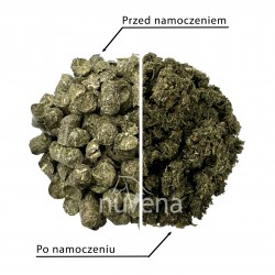 NuVena Green Fields Pellets - trawokulki - worek 20kg