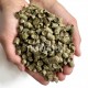 NuVena Green Fields Pellets - trawokulki - produkt przed namoczeniem