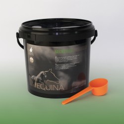 Nuba Sport Musli