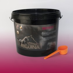 Equina Trifertil 3000g - optymalizacja płodności klaczy i ogierów
