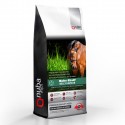 Nuba Sunburnt Barley