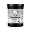 NuVena - Sea Algae 900g (Ascophyllum nodosum) - Algi dla koni