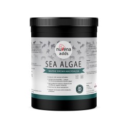 NuVena - Sea Algae 350g (Ascophyllum nodosum) - Algi dla koni