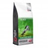 Nuba Classic Mash