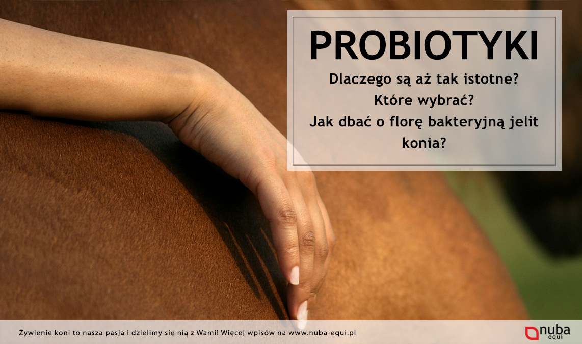 Probiotyki dla koni Nuba Equi